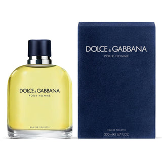 Dolce & Gabbana Pour Homme Eau De Toilette Spray by Dolce & Gabbana