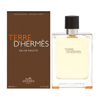 Terre D'Hermes Eau De Toilette Spray For Men by Hermes