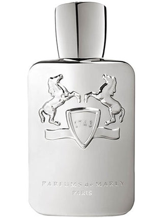 PEGASUS